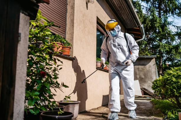 Best Pest Inspection Near Me  in Muskegon, MI