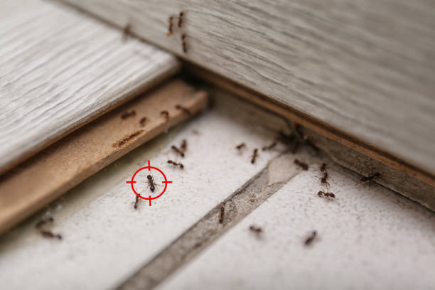Pest Control for Restaurants in Muskegon, MI