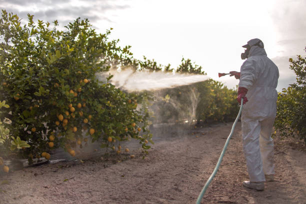 Best Bed Bug Extermination  in Muskegon, MI