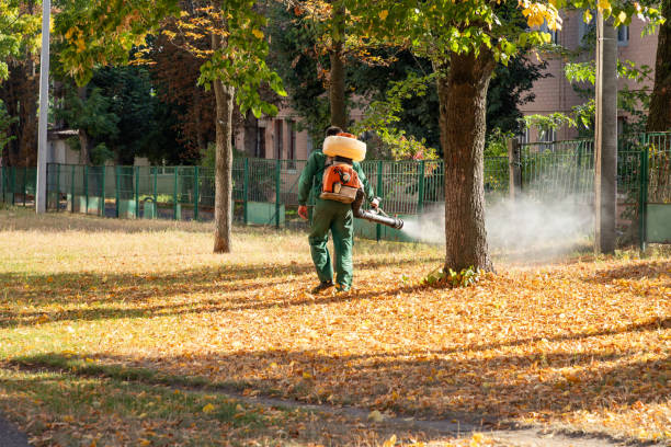 Best Insect Control  in Muskegon, MI