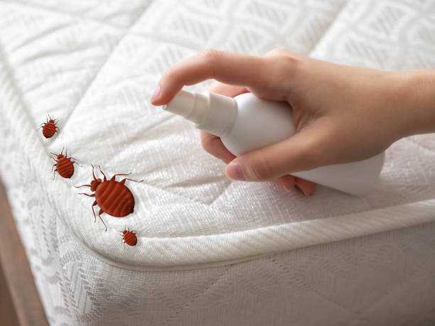 Best Mosquito Control Services  in Muskegon, MI