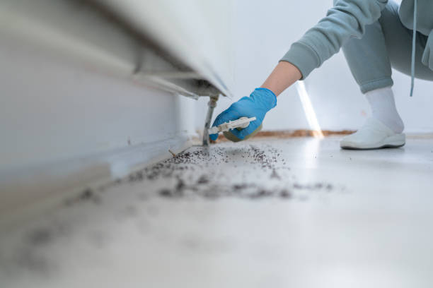 Best Best Pest Control Companies  in Muskegon, MI